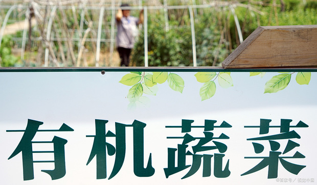 如何区别有机与无机，有机认证